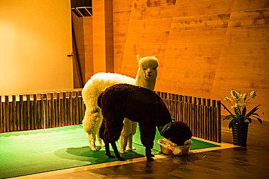 《星空》预告全为实机画面 未用任何电影相机工具